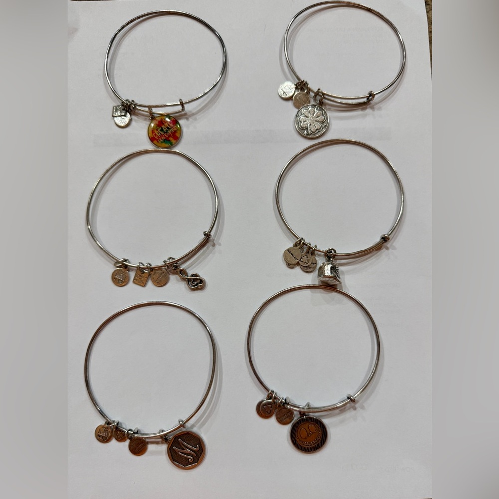 Alex and Ani Silver Charm Bracelet Collection price is for all 6 bracelets.